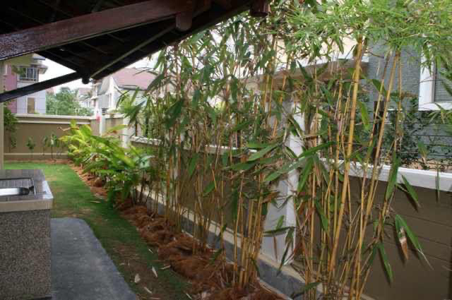 3 And Half Storey Bungalow, Mont Kiara - photo 4