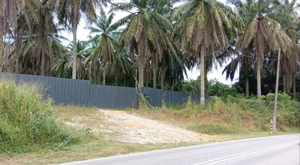 Prime Freehold Land Seberang Perai, Pulau Pinang - photo 5