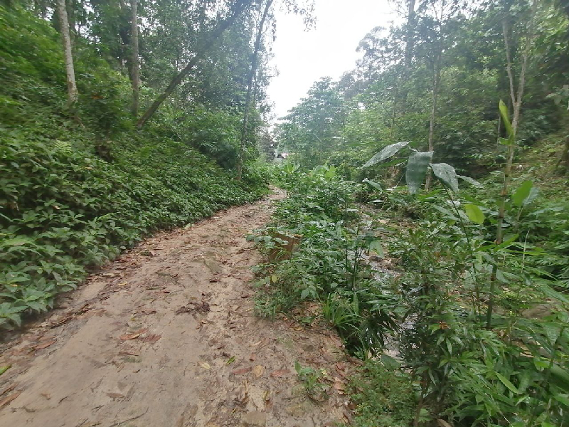Tanah Kampung Palimbayan, Sungai Penchala, 1 Ekar, Anak Sungai