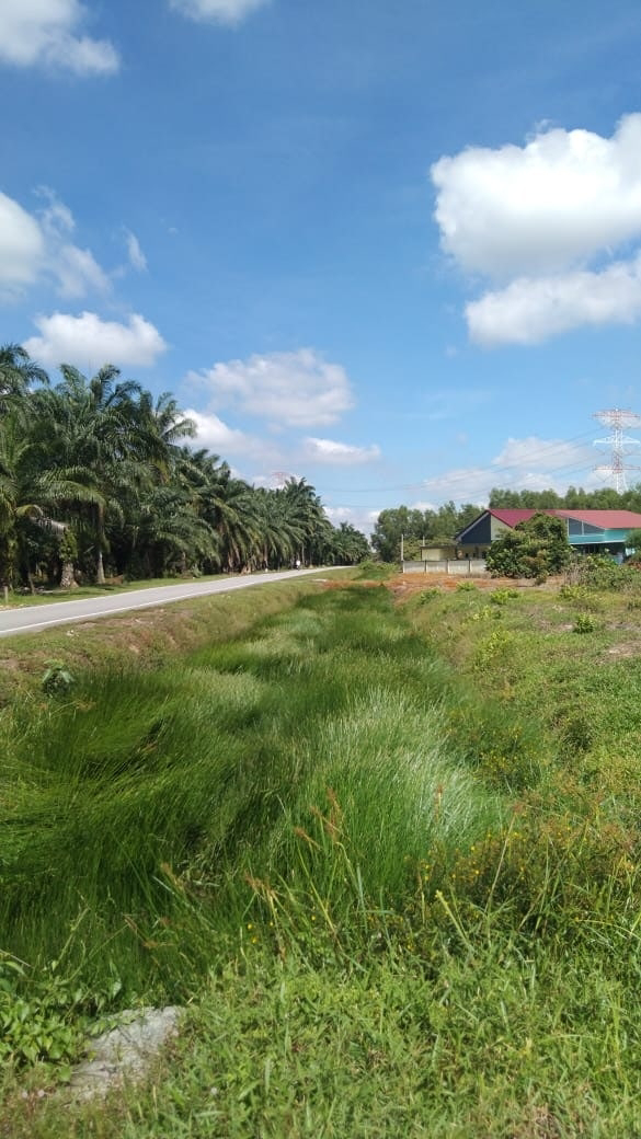Olak Lempit, Banting, Agriculture Land, Flat Land