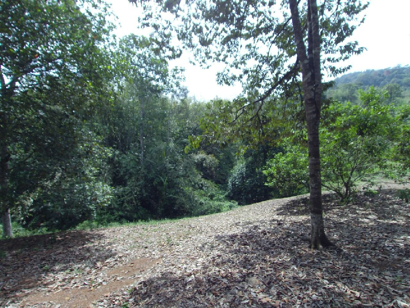 Batu 19, Sungai Lui, Hulu Langat, 3 Ekar, Lapisan Kedua - photo 1