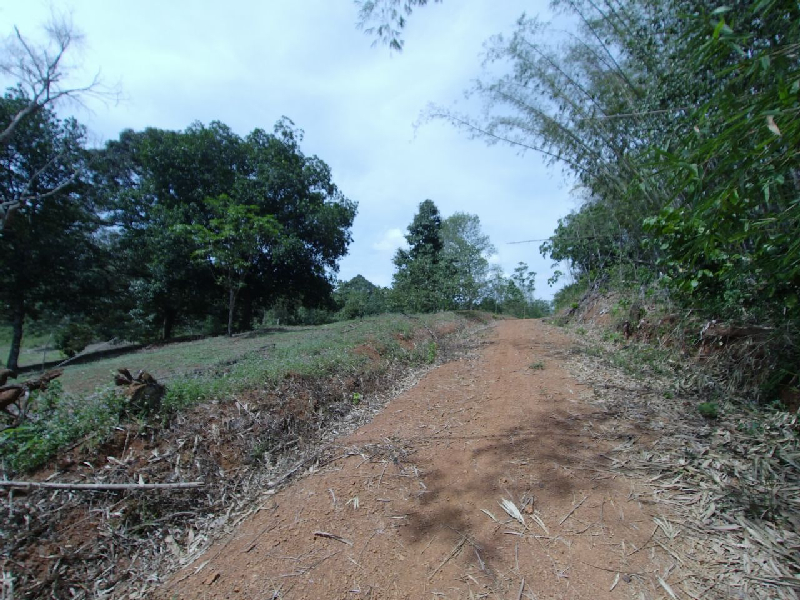 Batu 19, Sungai Lui, Hulu Langat, 3 Ekar, Lapisan Kedua - photo 8