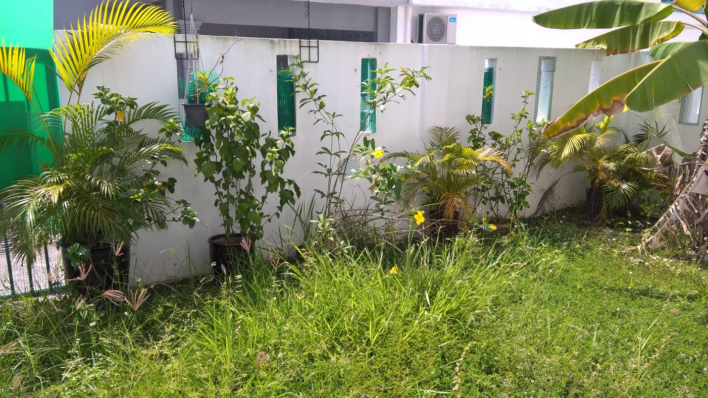 Mahkota Cheras Sek5 - photo 2