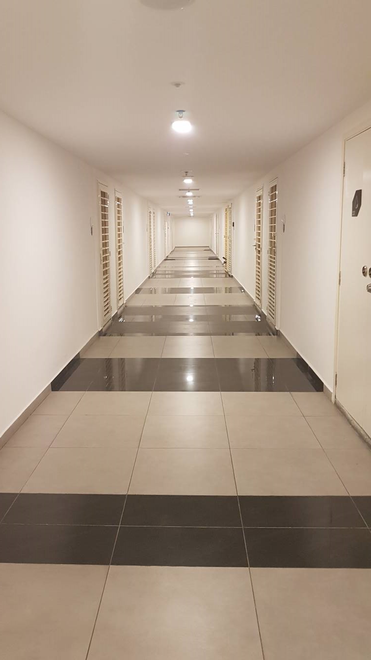 Avenue Dvogue - photo 8
