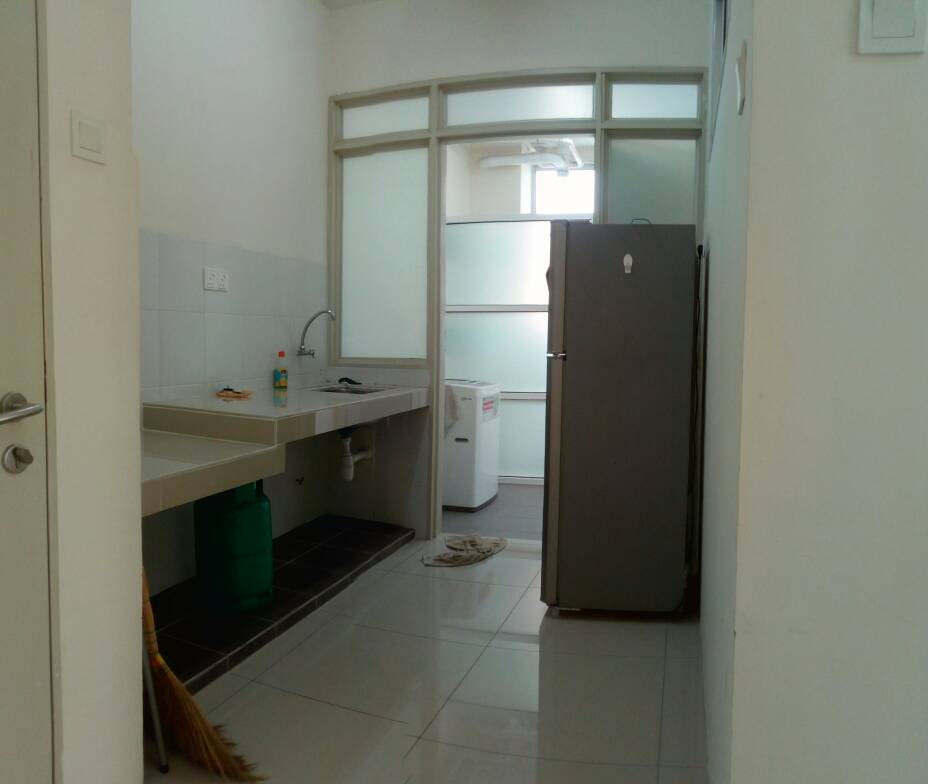 PV16 Platinum Lake Condominium - photo 8