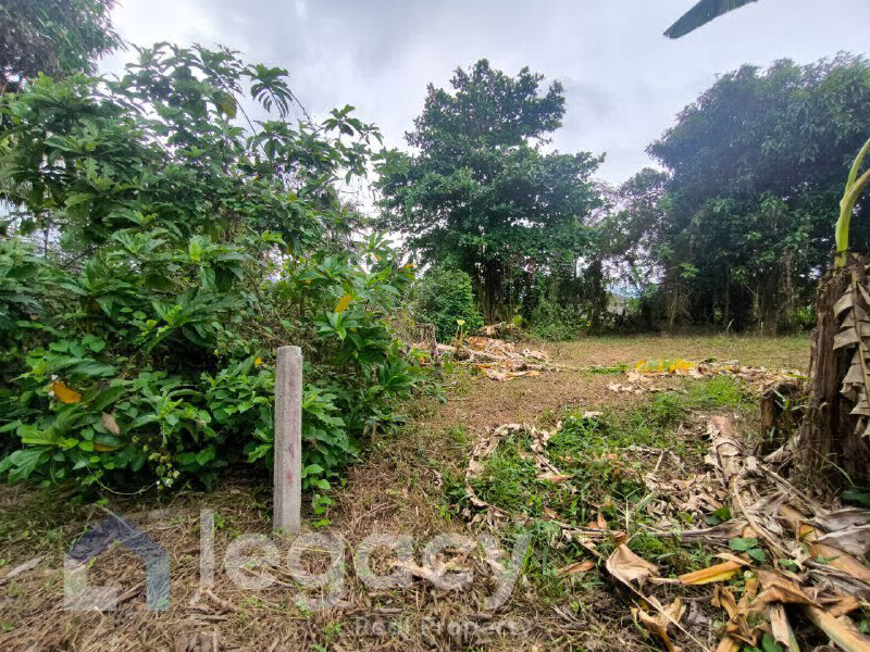 Tanah Lot Manjoi Untuk Dijual di Jalan Tok Ketua, Kampung Tengku Hussein Manjoi Ipoh Perak. - photo 4