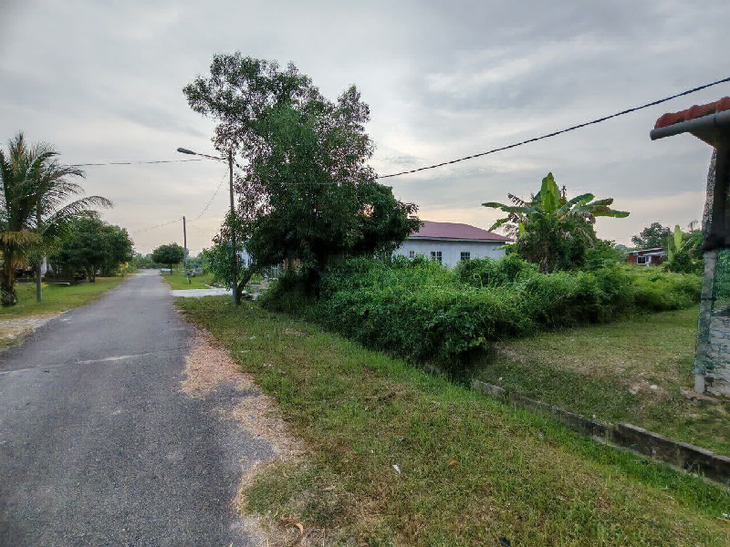 Tanah Lot Banglo Untuk Di Jual Di RKT Kurnia Jaya Tambahan Kamunting Taiping Perak - photo 9