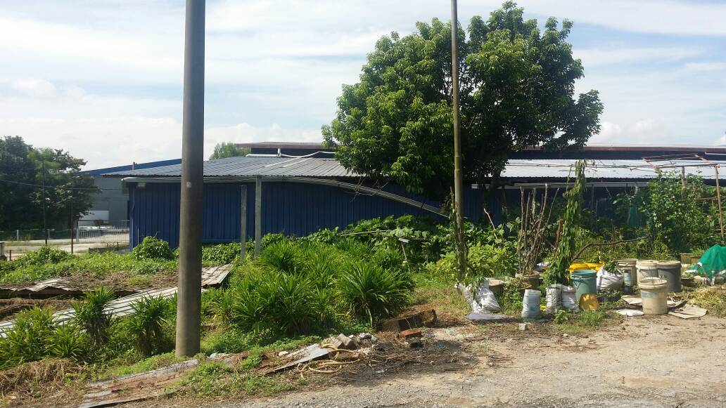 Kampung Bharu Subang, Shah Alam - photo 10
