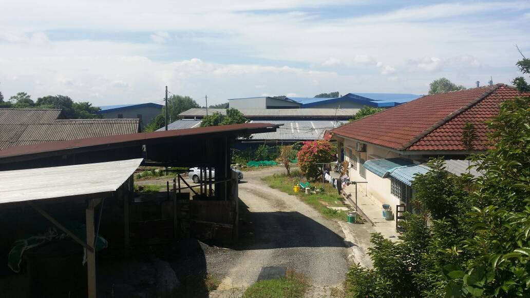 Kampung Bharu Subang, Shah Alam - photo 11