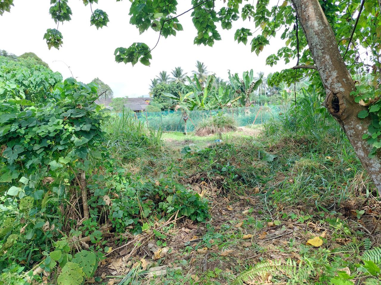 Tanah Lot Banglo Ampangan Seremban N9 untuk Dijual - photo 2