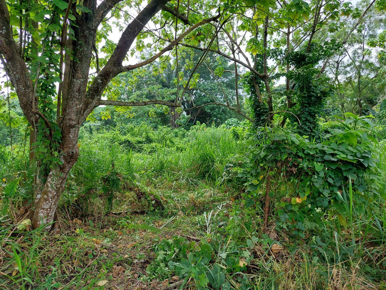 Tanah Lot Banglo Ampangan Seremban N9 untuk Dijual - photo 4