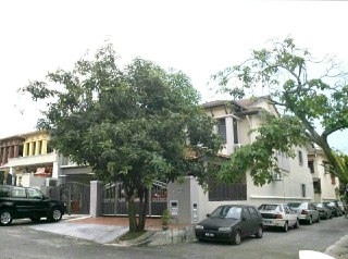 FULLY RENOVATED EXTEND Section U5 Shah Alam - photo 6