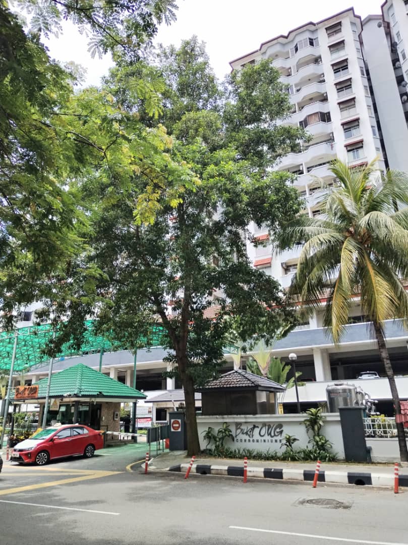 Bukit OUG Condominiums - photo 11