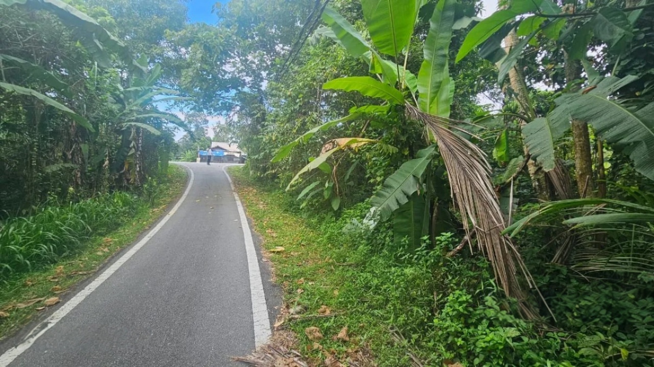 Kalumpang, Hulu Selangor - photo 6