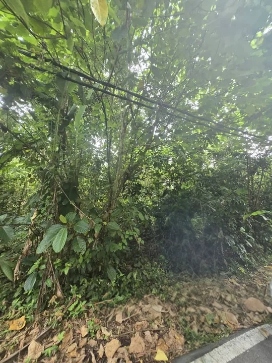 Kalumpang, Hulu Selangor - photo 7