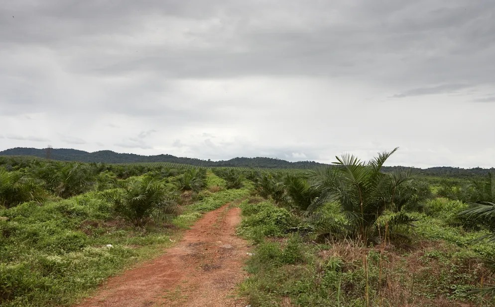 Bukit Tagar, Hulu Selangor - photo 3