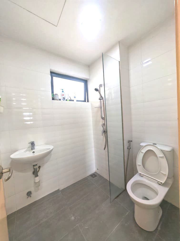 Shamelin Star RENTED - photo 12