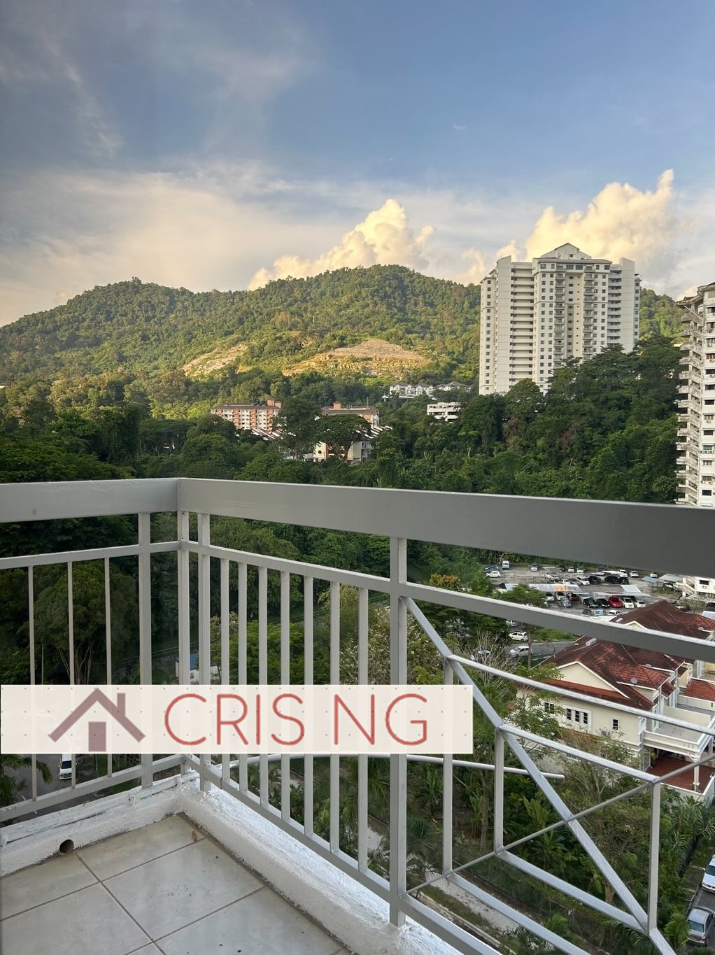 taman desa relau 2 - photo 6