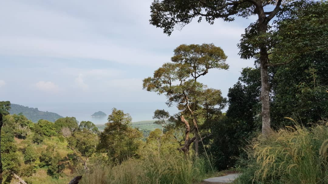 BALIK PULAU - photo 2