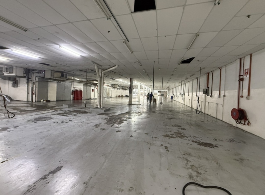 Prai FTZ Prime Double Storey Detached Factory - photo 3