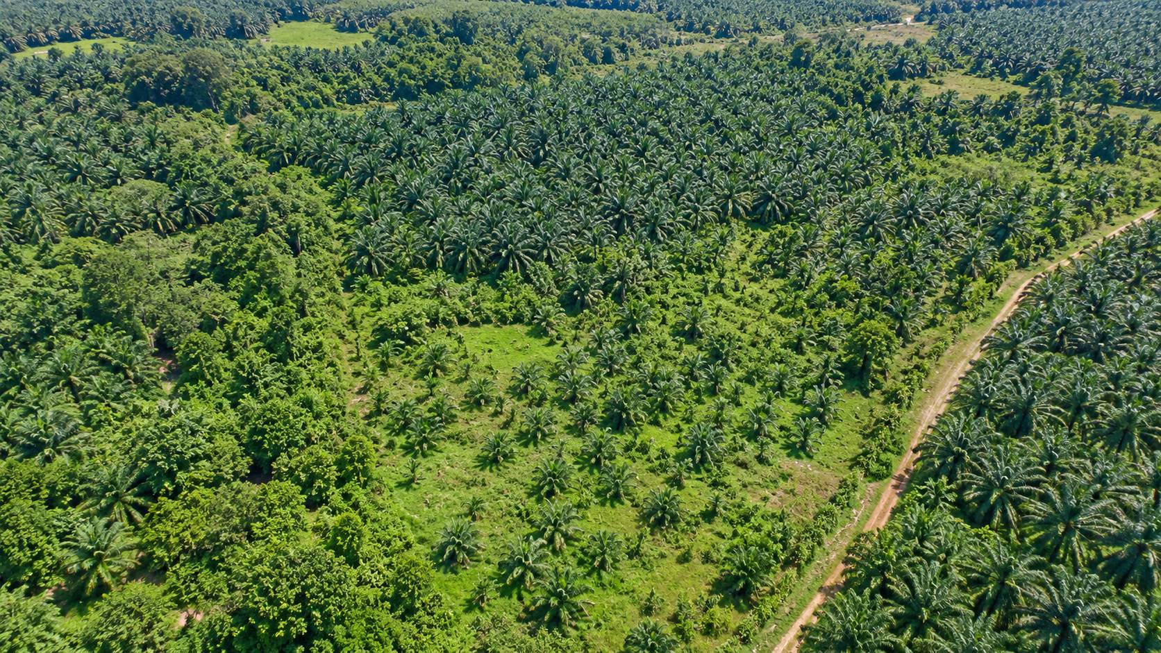 176,854 Sqft Byram Industrial Land - photo 2