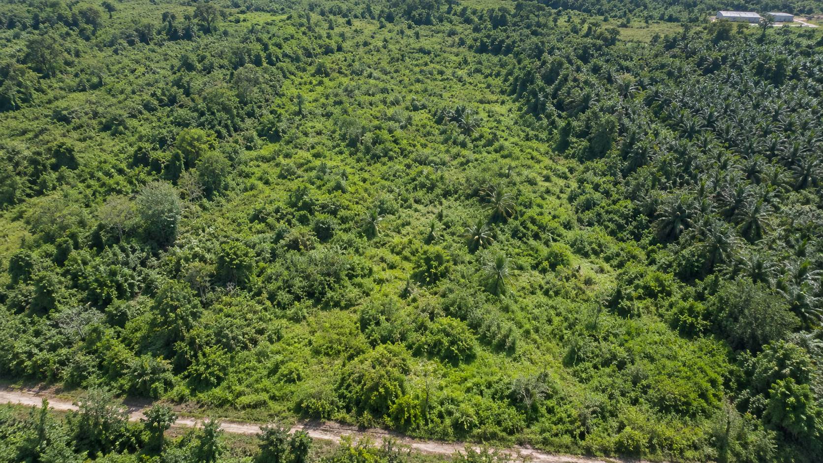 7 Acre Valdor Freehold Development Land - photo 3