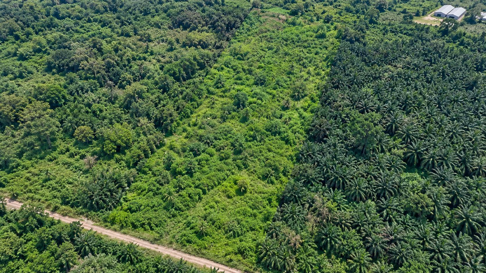 7 Acre Valdor Freehold Development Land