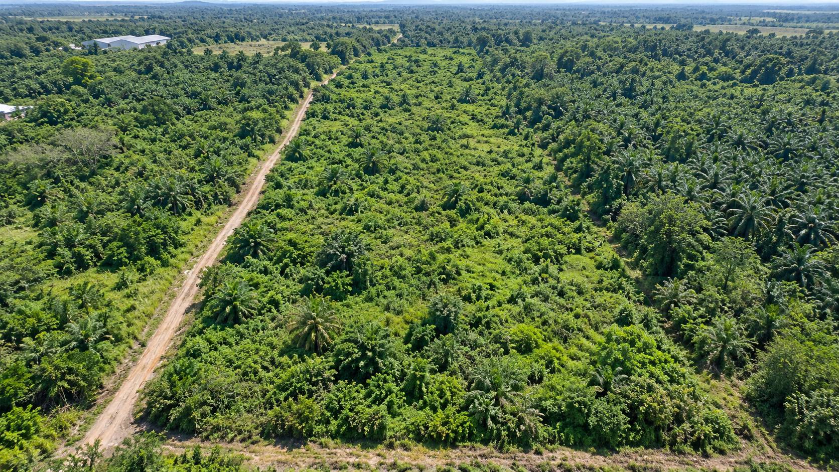7 Acre Valdor Freehold Development Land - photo 2
