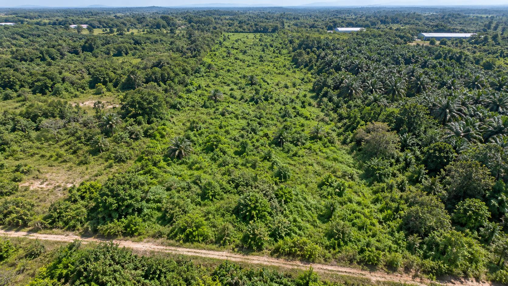 7 Acre Valdor Freehold Development Land - photo 4