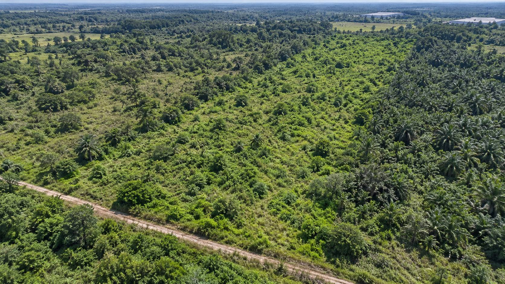 7 Acre Valdor Freehold Development Land - photo 5