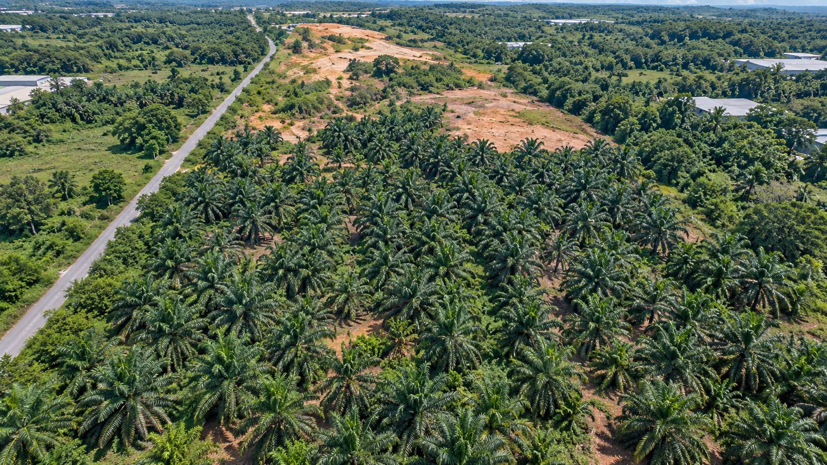 721,440 Sqft Permatang Tinggi Industrial Land