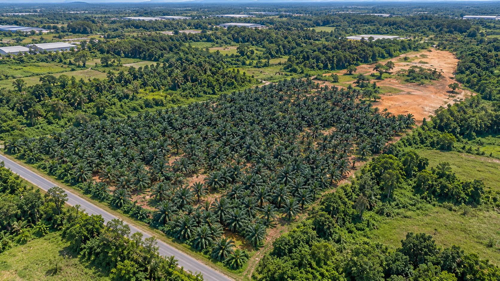 721,440 Sqft Permatang Tinggi Industrial Land - photo 2