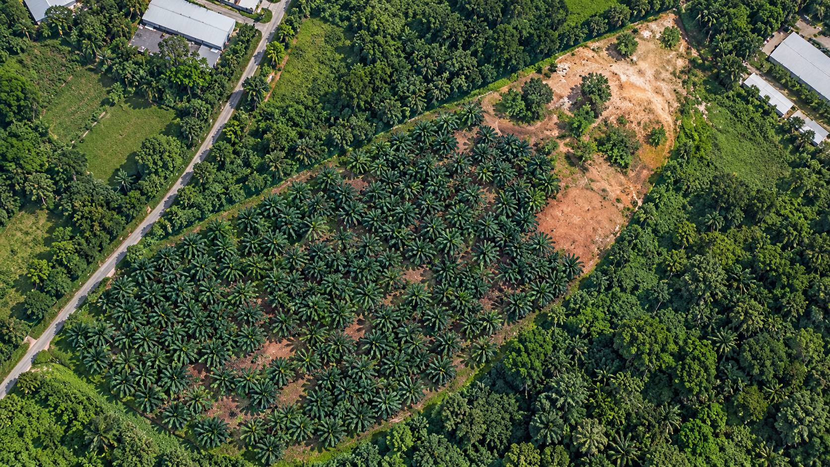 721,440 Sqft Permatang Tinggi Industrial Land - photo 3