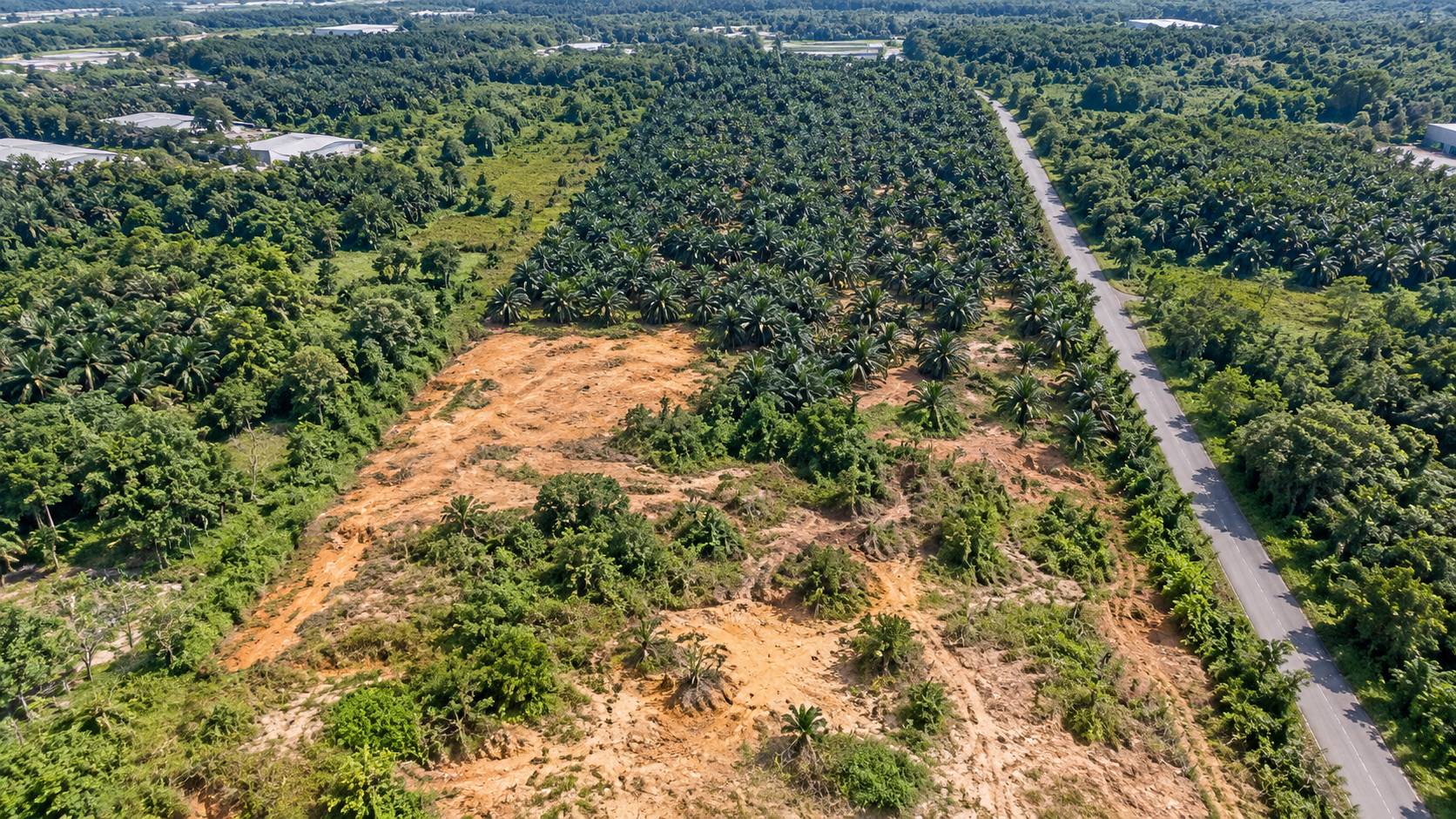 721,440 Sqft Permatang Tinggi Industrial Land - photo 4