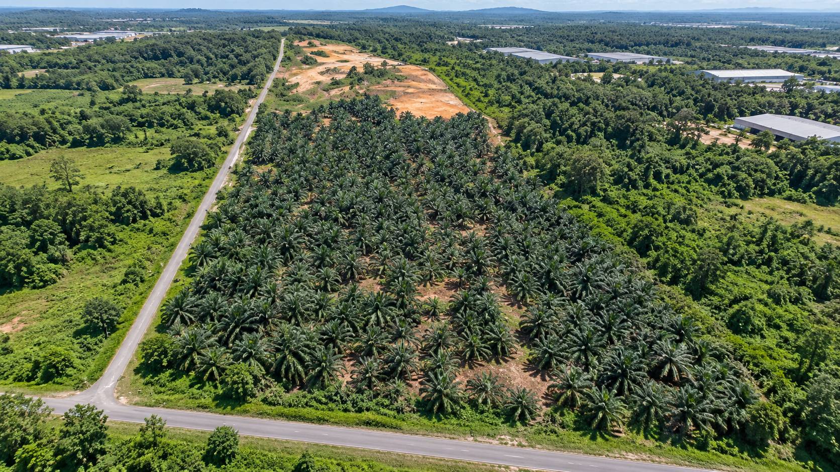 721,440 Sqft Permatang Tinggi Industrial Land - photo 5