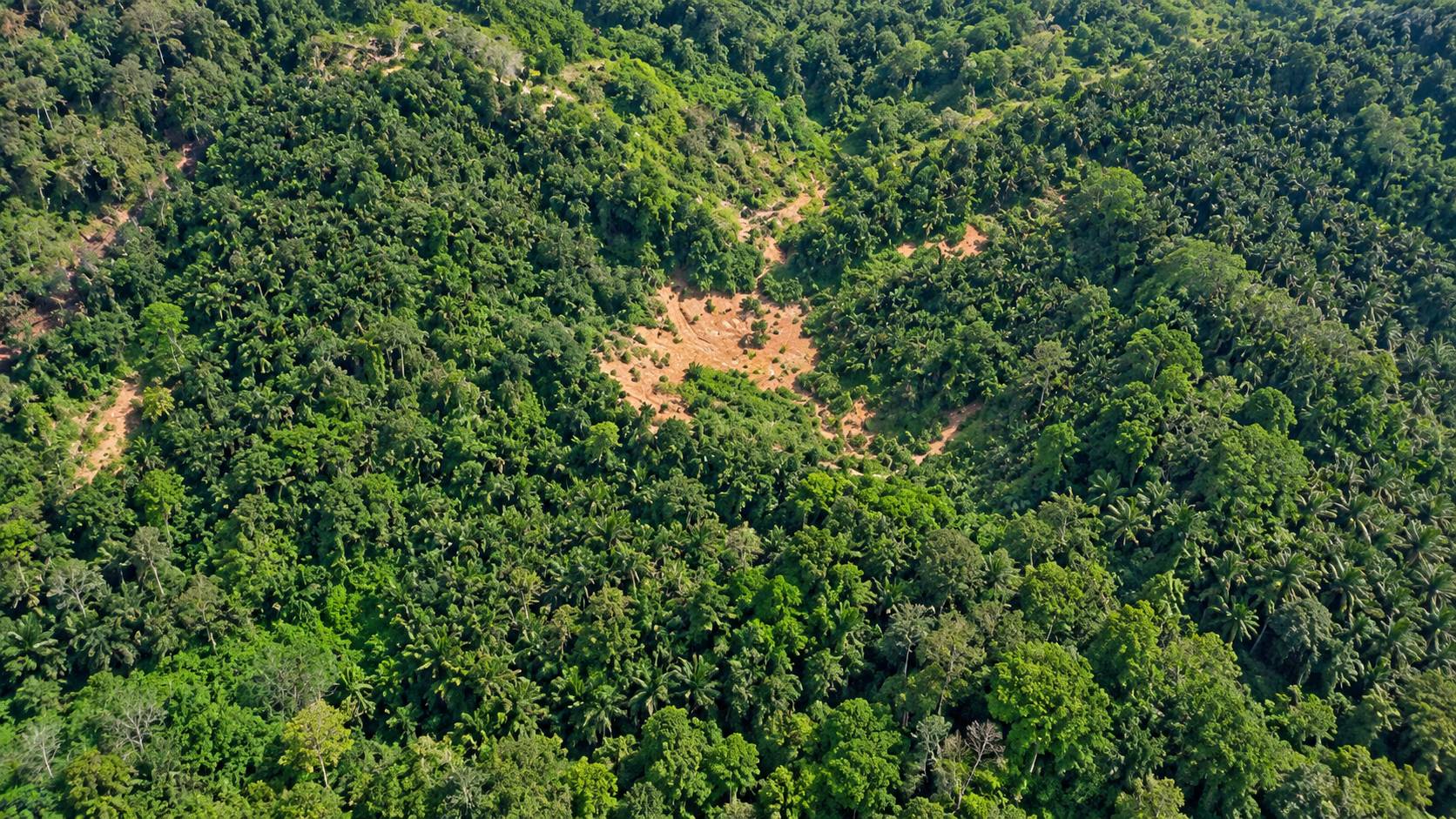 829,532 Sqft Bukit Mertajam Machang Industry Land