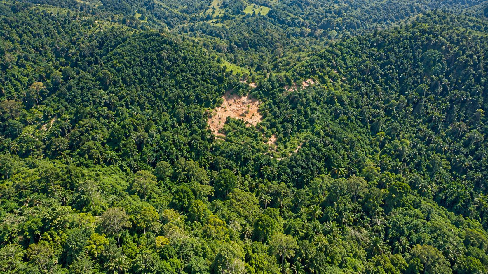 829,532 Sqft Bukit Mertajam Machang Industry Land - photo 2