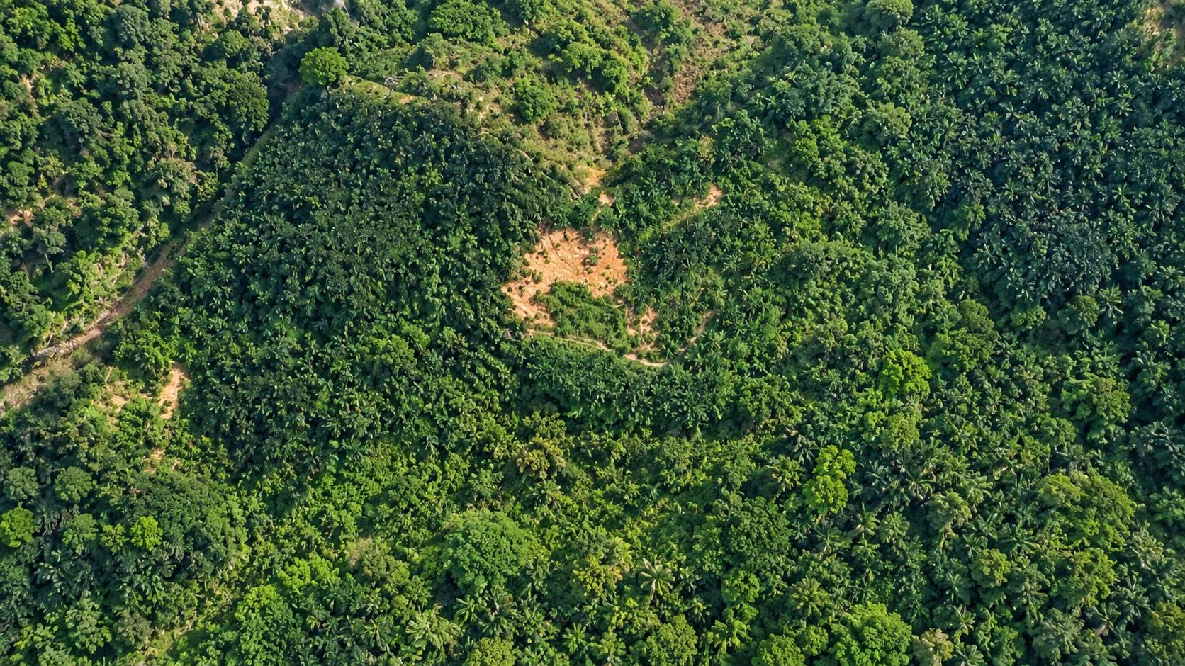 829,532 Sqft Bukit Mertajam Machang Industry Land - photo 3