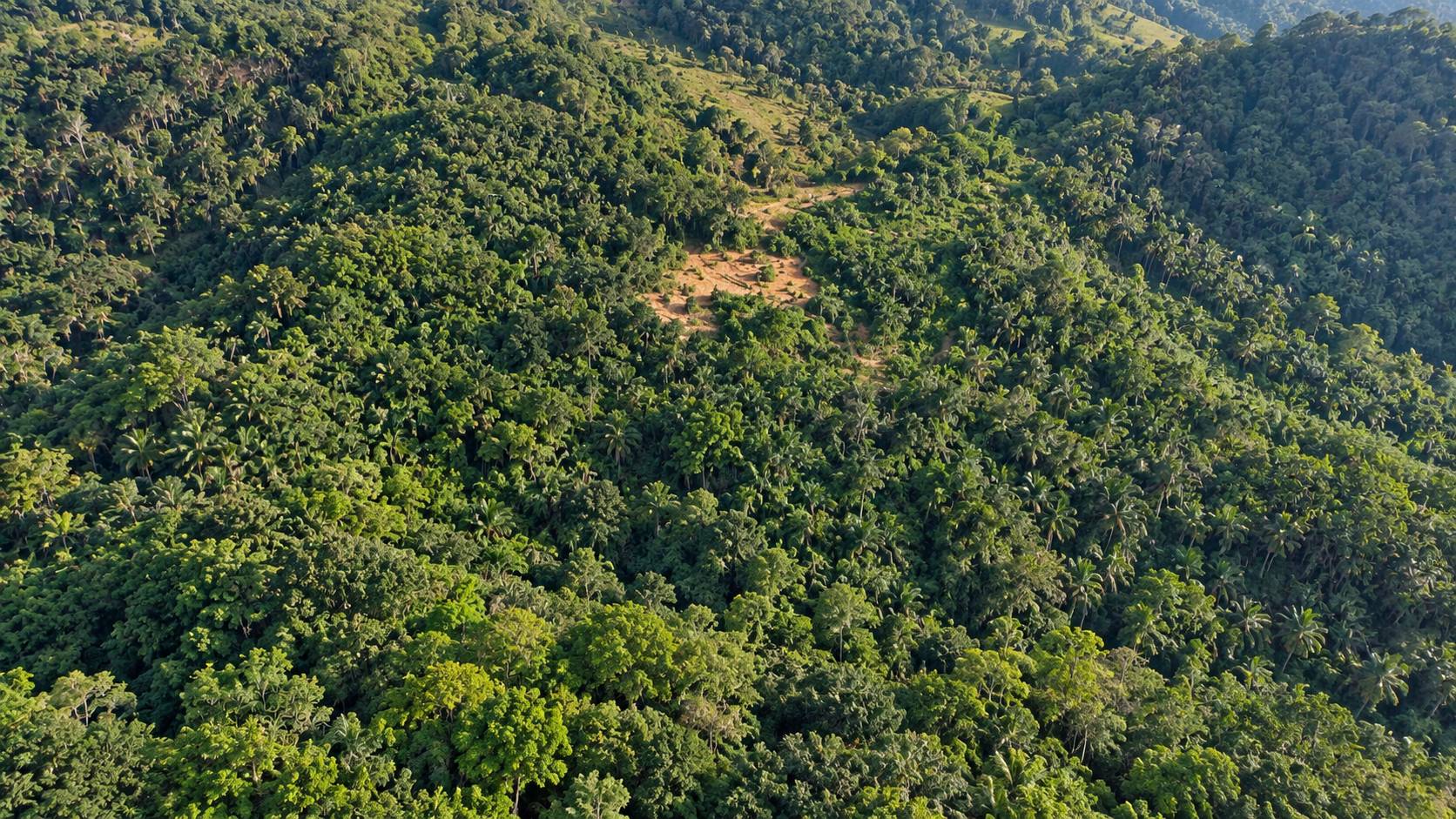 829,532 Sqft Bukit Mertajam Machang Industry Land - photo 5