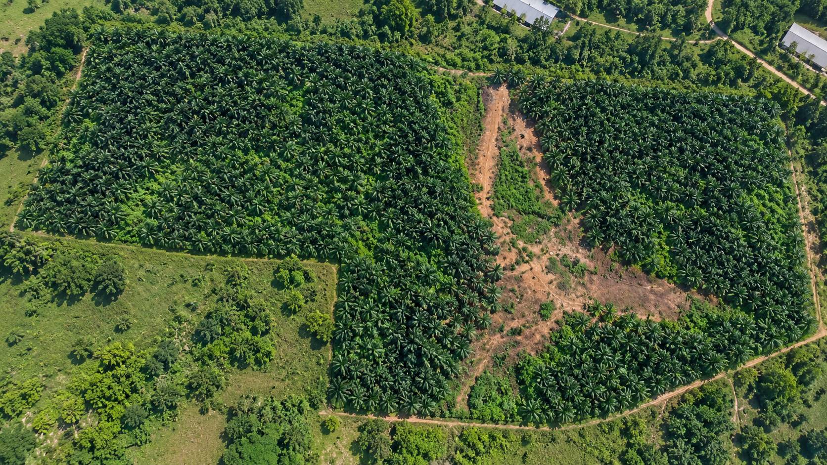 709,567 Sqft Simpang Ampat Industrial Land - photo 2