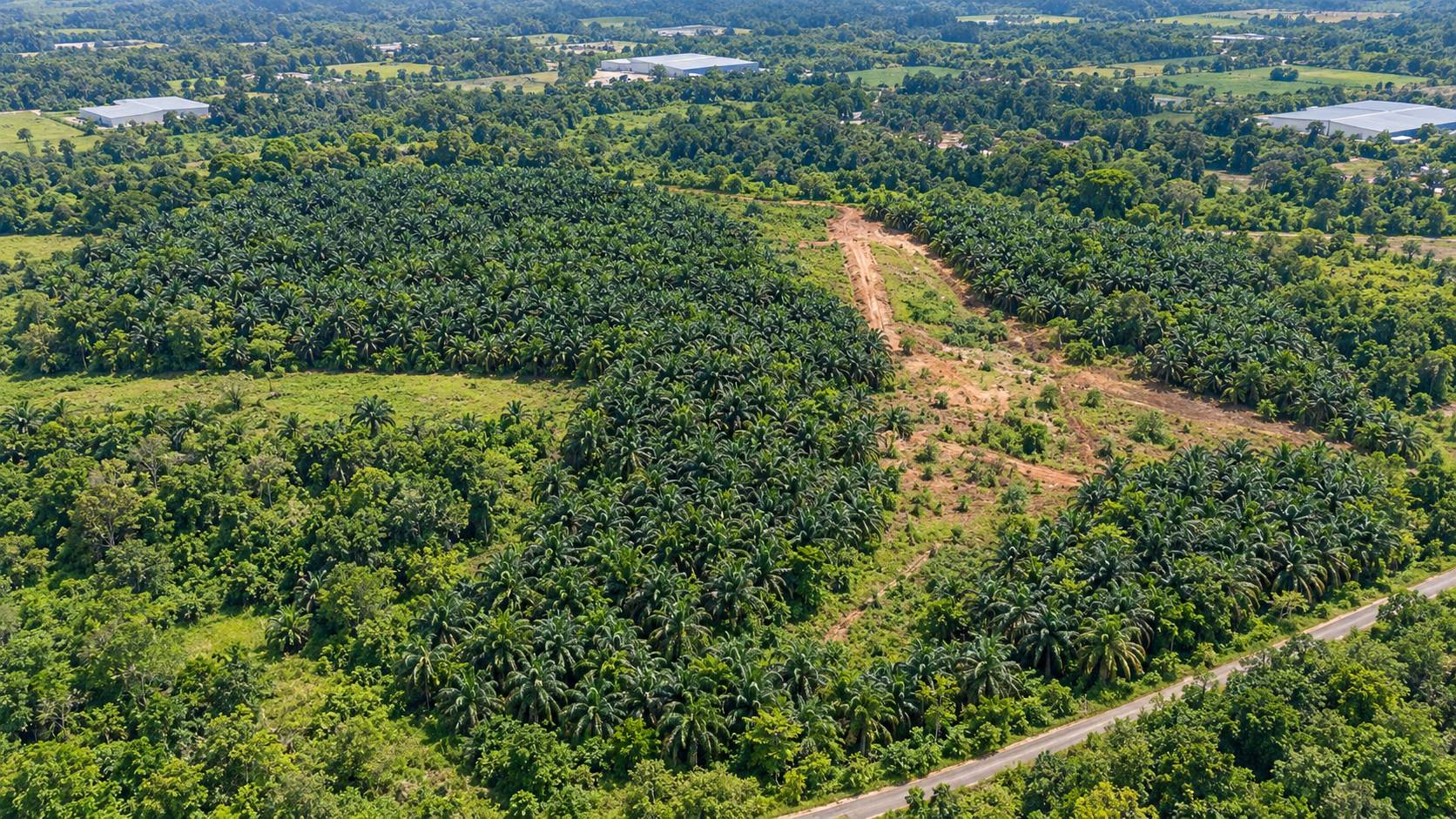 709,567 Sqft Simpang Ampat Industrial Land - photo 3