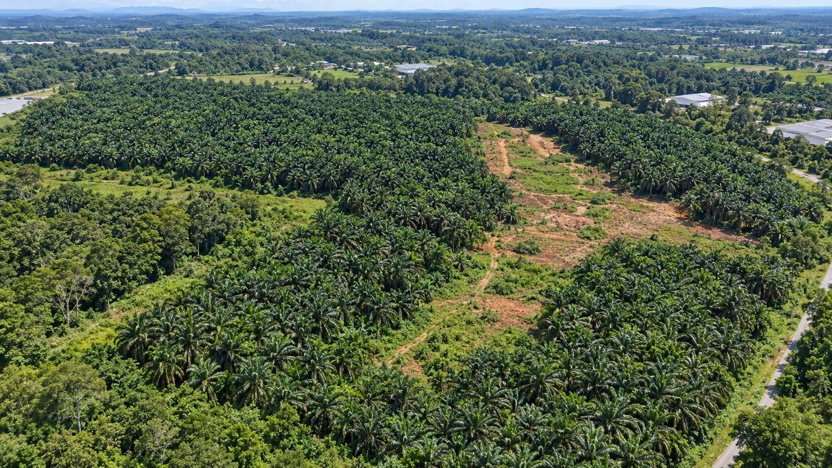 709,567 Sqft Simpang Ampat Industrial Land - photo 4