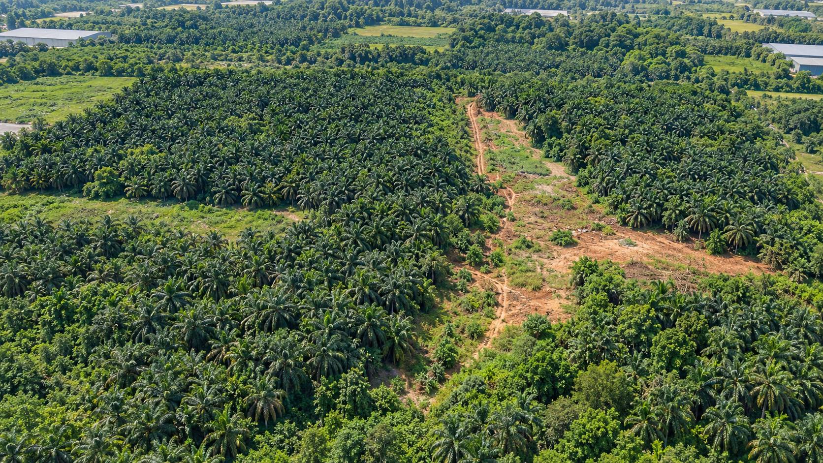 709,567 Sqft Simpang Ampat Industrial Land - photo 5