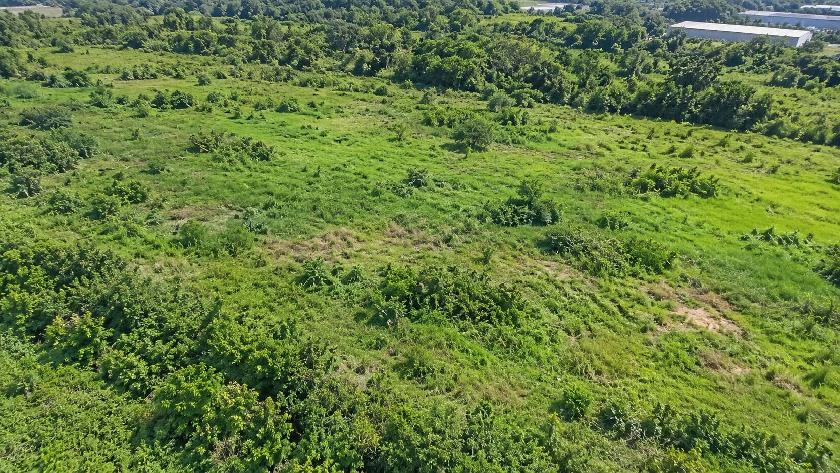234,460 Sqft Batu Kawan Industrial Land For Sale - photo 4
