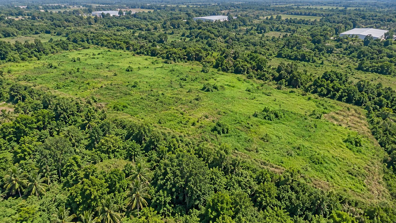 234,460 Sqft Batu Kawan Industrial Land For Sale - photo 5