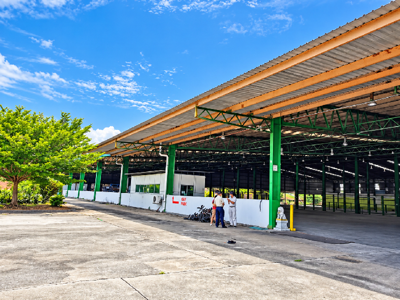Property in Kedah
