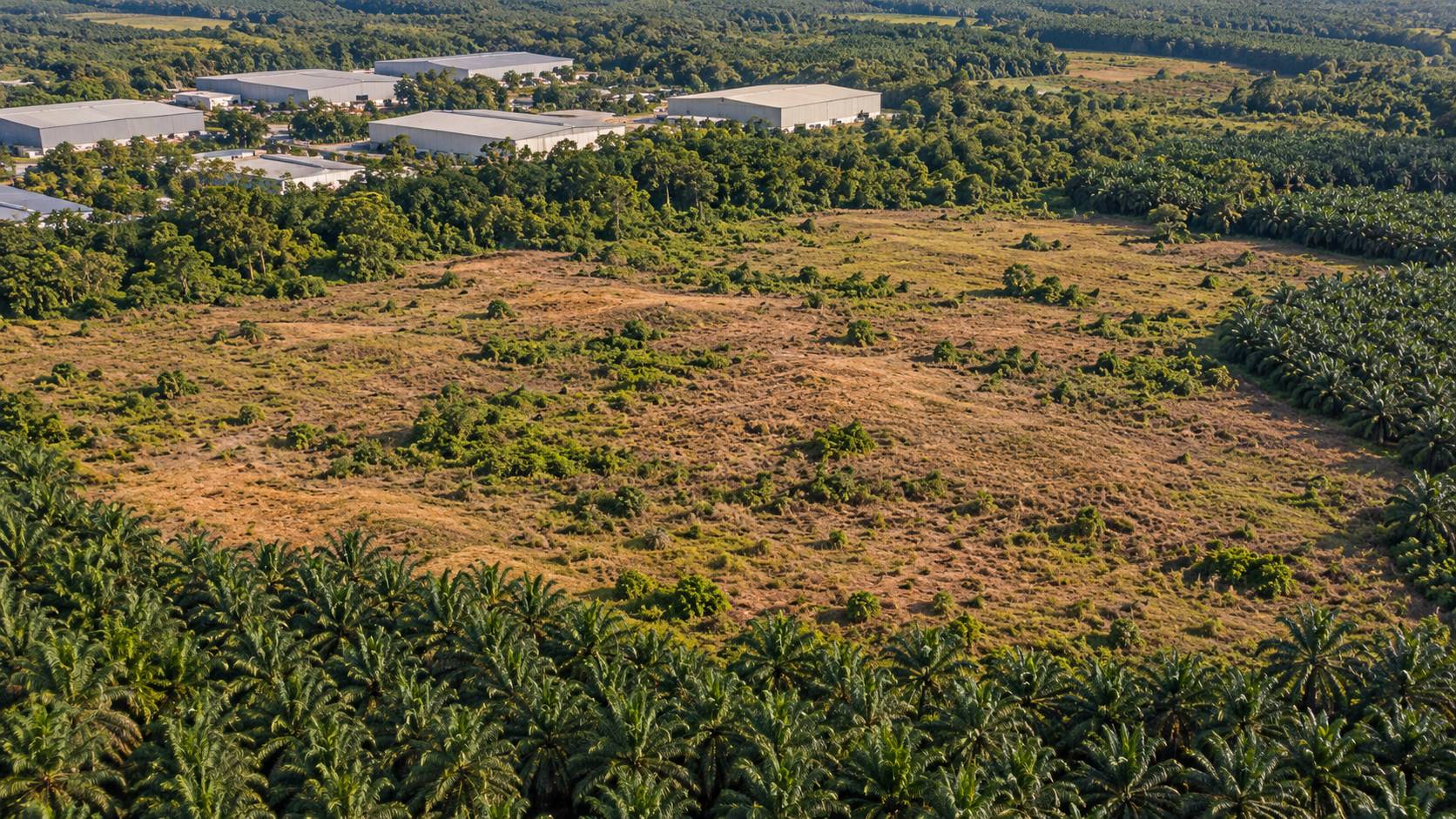 60 Acres Freehold Sungai Petani Industrial Land - photo 2