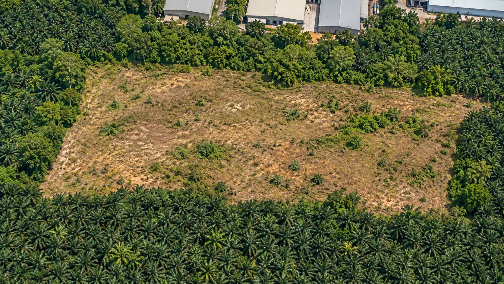60 Acres Freehold Sungai Petani Industrial Land - photo 3