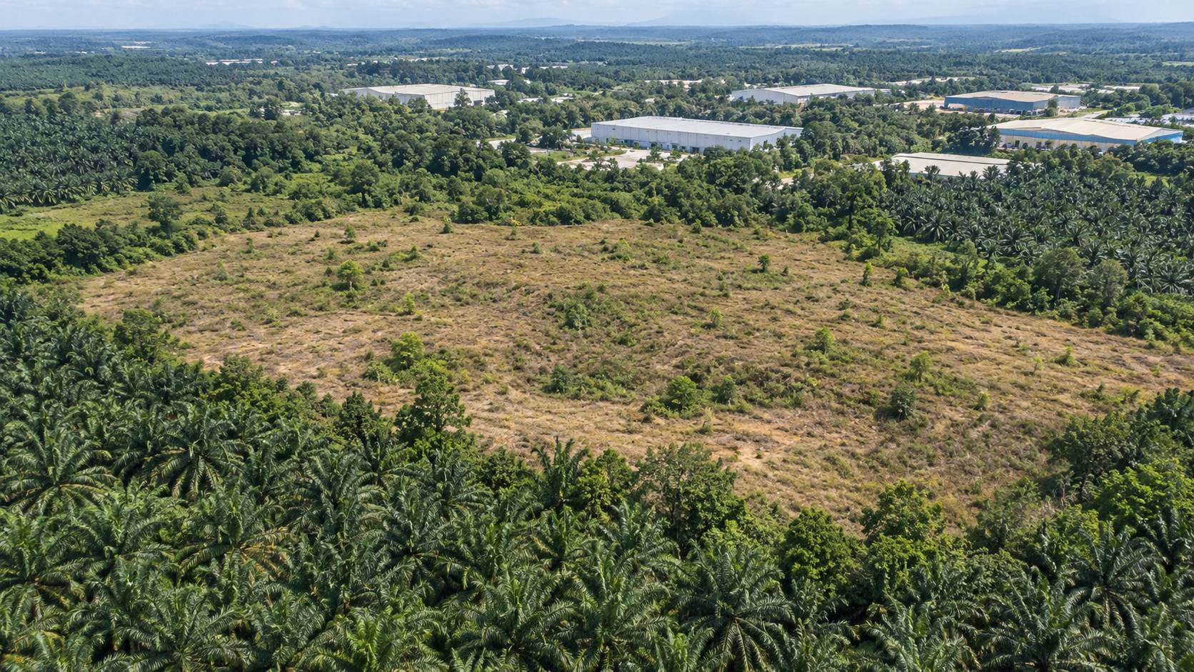 60 Acres Freehold Sungai Petani Industrial Land - photo 4