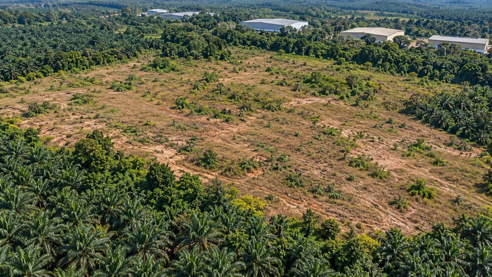 60 Acres Freehold Sungai Petani Industrial Land